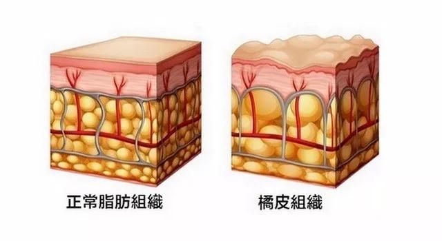 微信图片_20180419130025.jpg